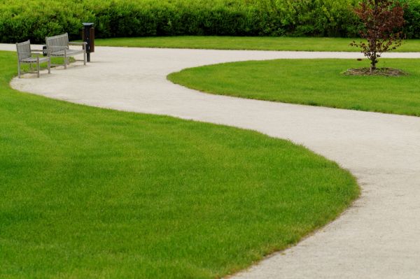 Cost of Concrete Walkway Installation in Redwood City