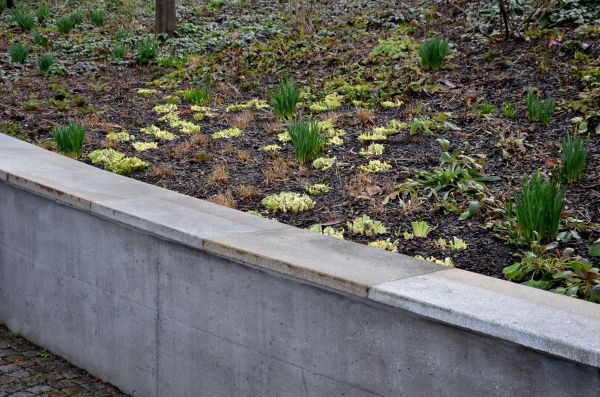 Cost of Concrete Wall Pouring in Redwood City
