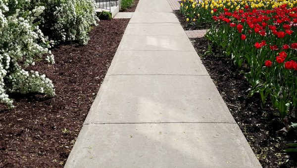 Cost of Cement Sidewalk Installation in Redwood City