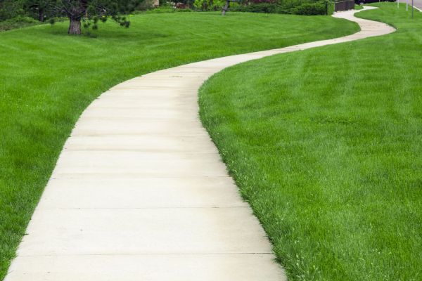 Cost of Sidewalk Paving in Redwood City