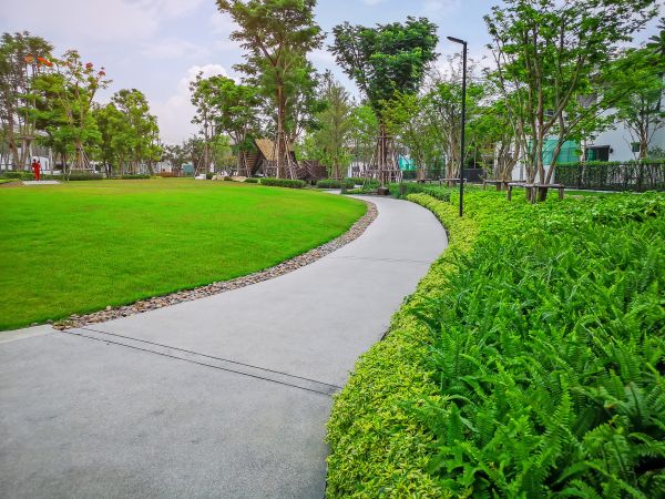 Cost of Cement Walkway Service in Redwood City
