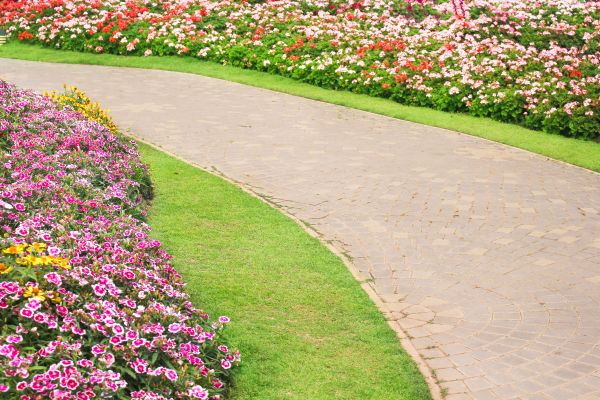 Cost of Concrete Walkway Service in Redwood City